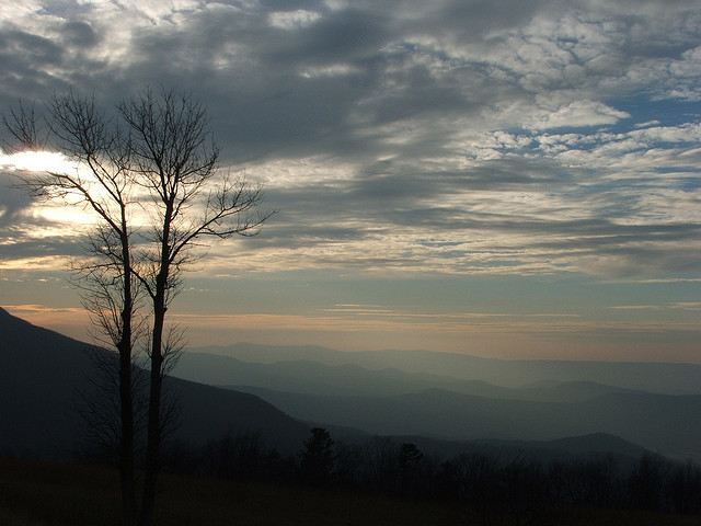 303264201 29c20ee1dd z.jpg?ixlib=rails 2.1