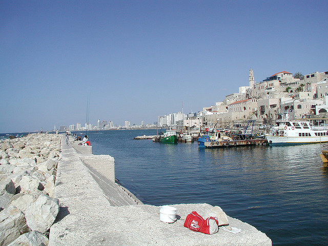 3332486287 8ba0da1ba1 z.jpg?ixlib=rails 2.1