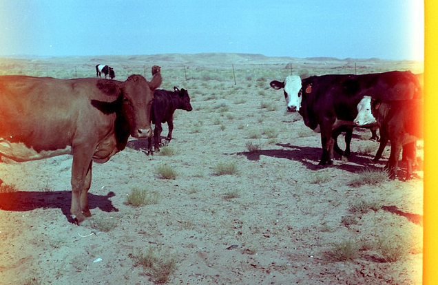 Picture 1.png?ixlib=rails 2.1