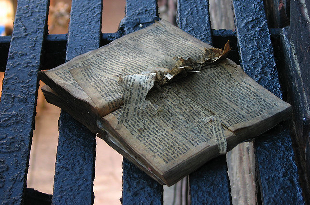 Picture 3.png?ixlib=rails 2.1