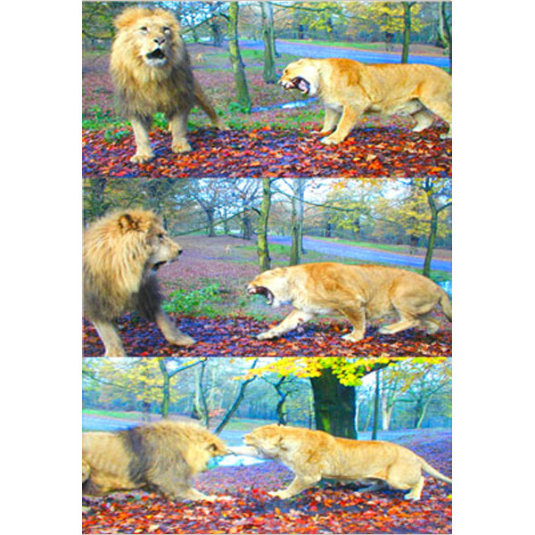 Title king.jpg?ixlib=rails 2.1