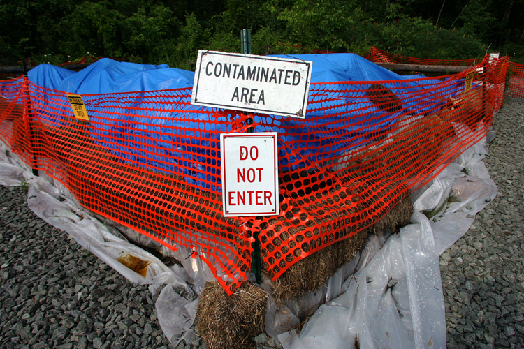 950b6472a176a73850d2a1adec762494.jpg?ixlib=rails 2.1