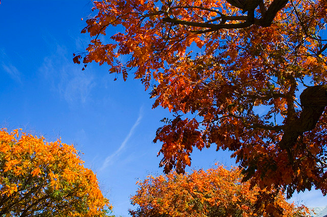 Picture 2.png?ixlib=rails 2.1