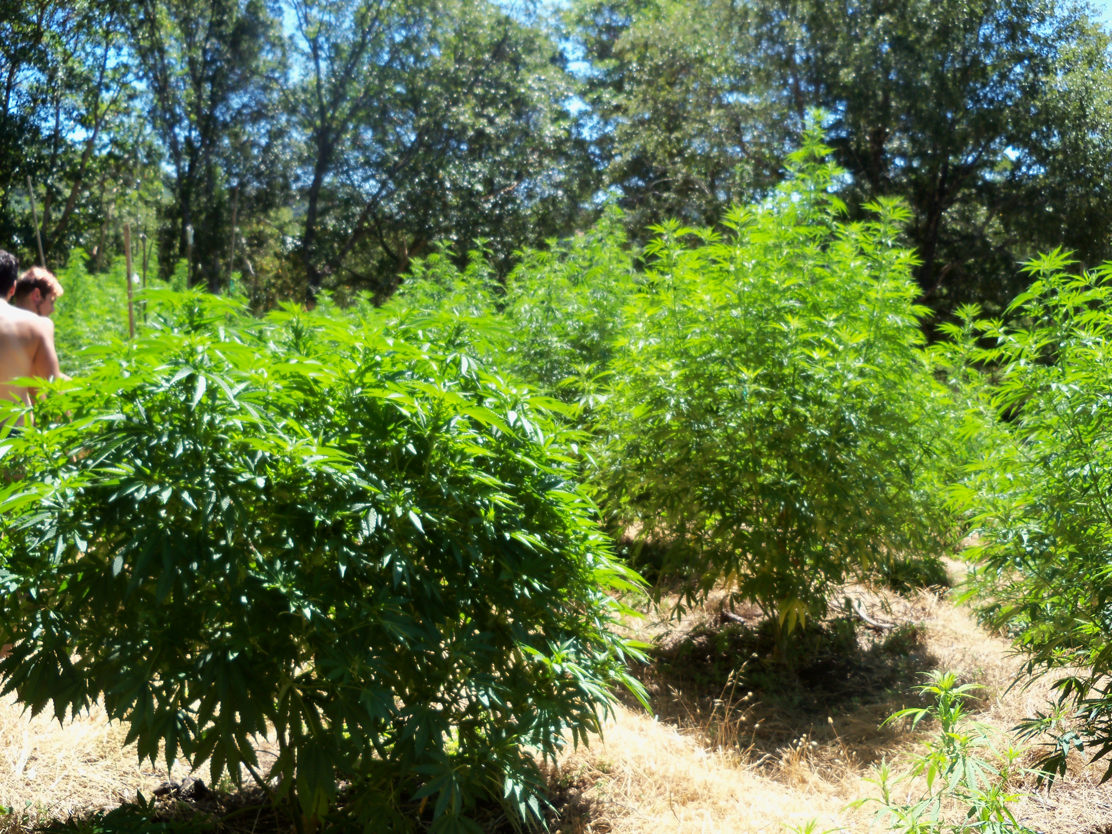 102 1473.jpg?ixlib=rails 2.1