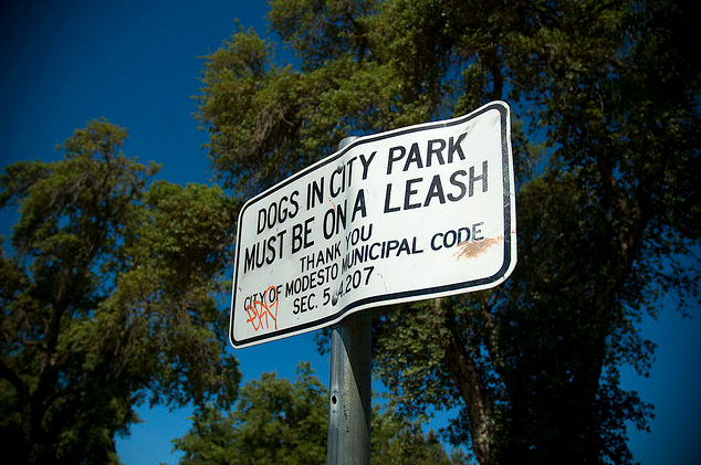 Screen shot 2012 01 09 at 5.06.53 am.png?ixlib=rails 2.1