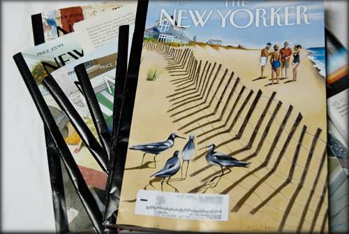 5930699516 af99c70483 o.jpg?ixlib=rails 2.1