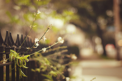 7030040515 5ef7ff5914.jpg?ixlib=rails 2.1