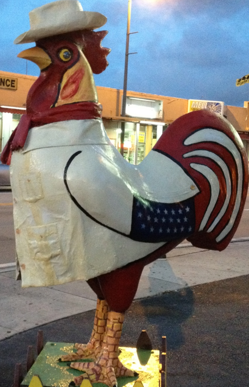 Rooster.jpg?ixlib=rails 2.1