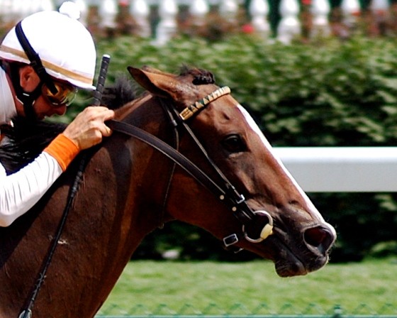 8fa70d8a7b17e6272df00f5b3b0c0fa5.jpg?ixlib=rails 2.1