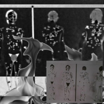 Nakedcity.jpeg?ixlib=rails 2.1