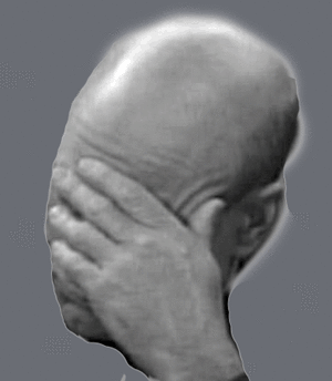 Rsz facepalm.gif?ixlib=rails 2.1