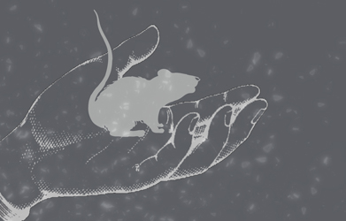 Hand mouse.jpg?ixlib=rails 2.1