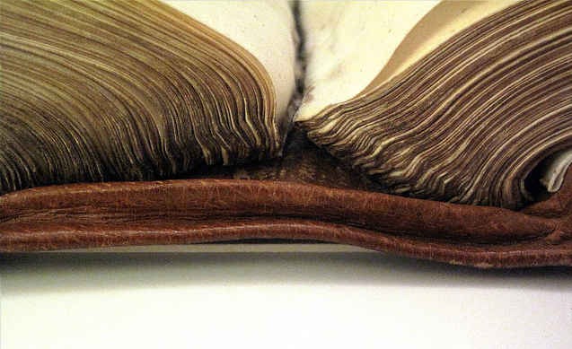 Screen shot 2013 01 02 at 10.40.12 am.png?ixlib=rails 2.1