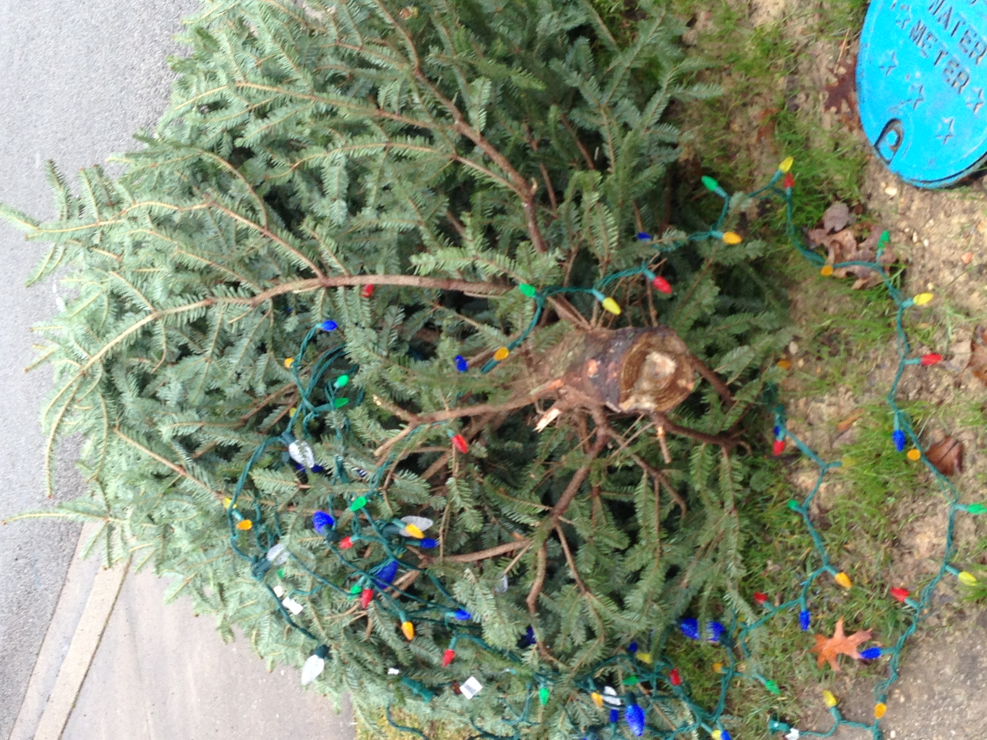  1.jpg?ixlib=rails 2.1