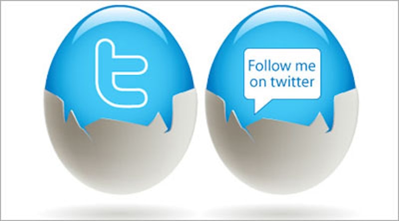 Twitter in egg follow me on twitter.jpg?ixlib=rails 2.1