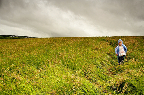 177032558 f8c03ed034.jpg?ixlib=rails 2.1