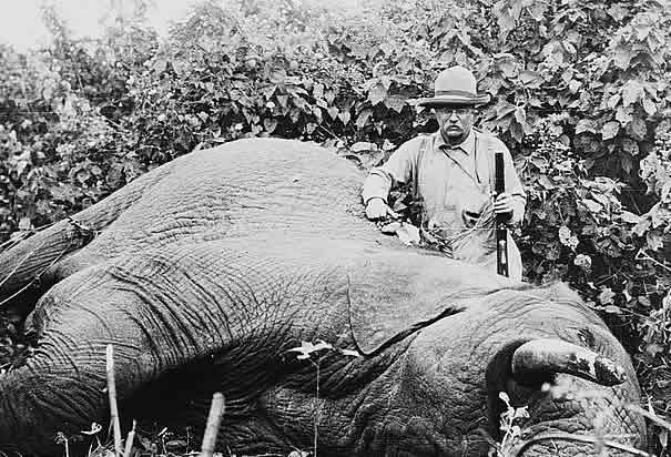 Theodore roosevelt elephant.jpg?ixlib=rails 2.1
