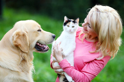 Rsz cat dog.jpg?ixlib=rails 2.1