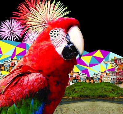 El guincho   alegranza.jpg?ixlib=rails 2.1