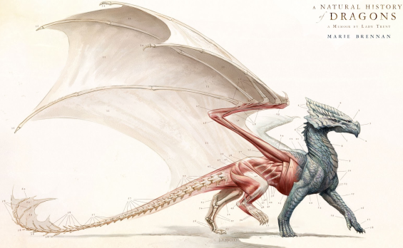 a natural history of dragons series order
