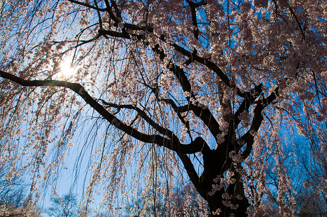 476976717 4d4dc4a468 z.jpg?ixlib=rails 2.1