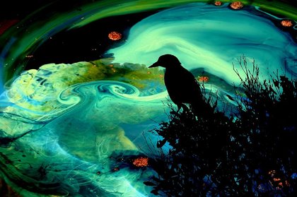 Rsz to look beyond the sky jan amiss photography.jpg?ixlib=rails 2.1