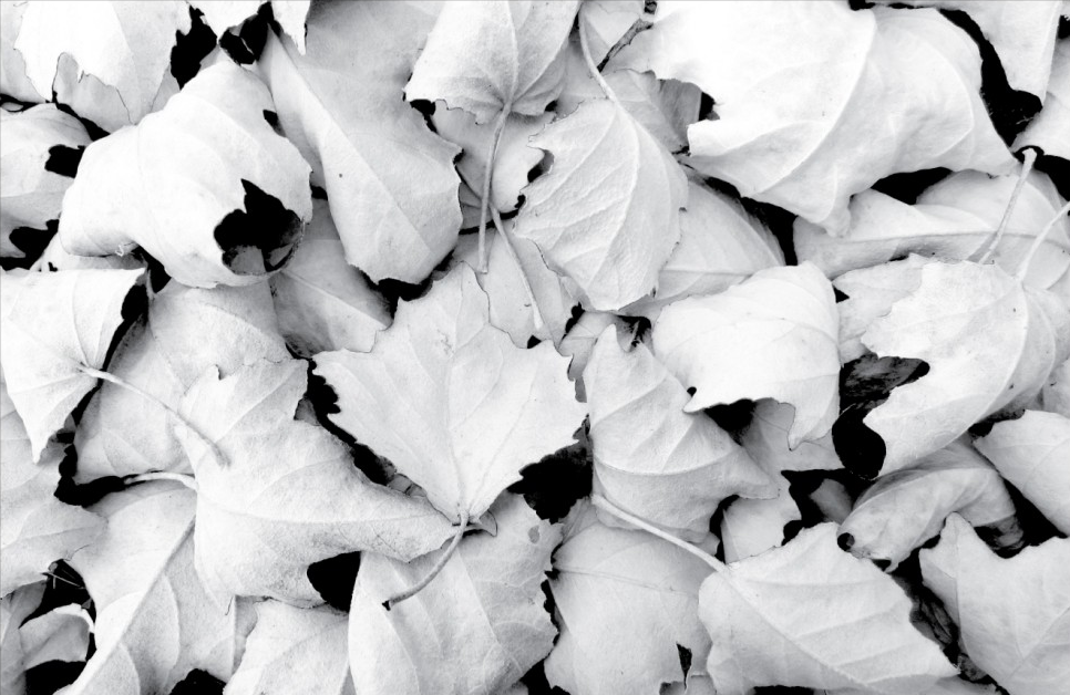 Screen shot 2013 07 02 at 9.41.19 am.png?ixlib=rails 2.1