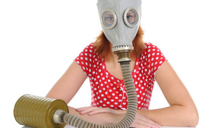 Rsz toxic.jpg?ixlib=rails 2.1