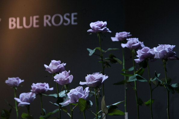 Tokyo hosts annual flower expo  7djj7usi nl.jpg?ixlib=rails 2.1