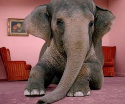 Rsz elephant room11 cr.jpg?ixlib=rails 2.1
