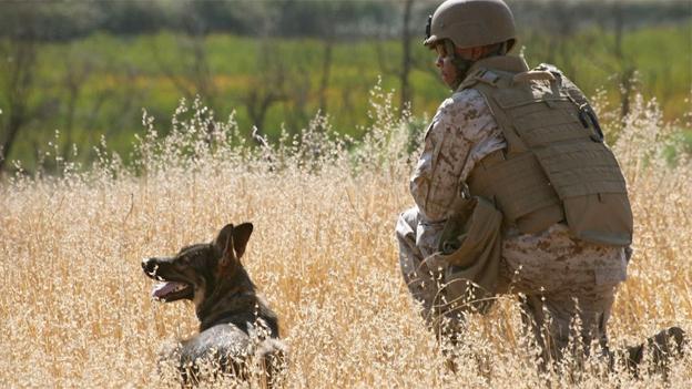 05.07.13artbeat gi film edit.jpg?ixlib=rails 2.1