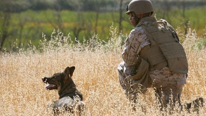 05.07.13artbeat gi film edit.jpg?ixlib=rails 2.1