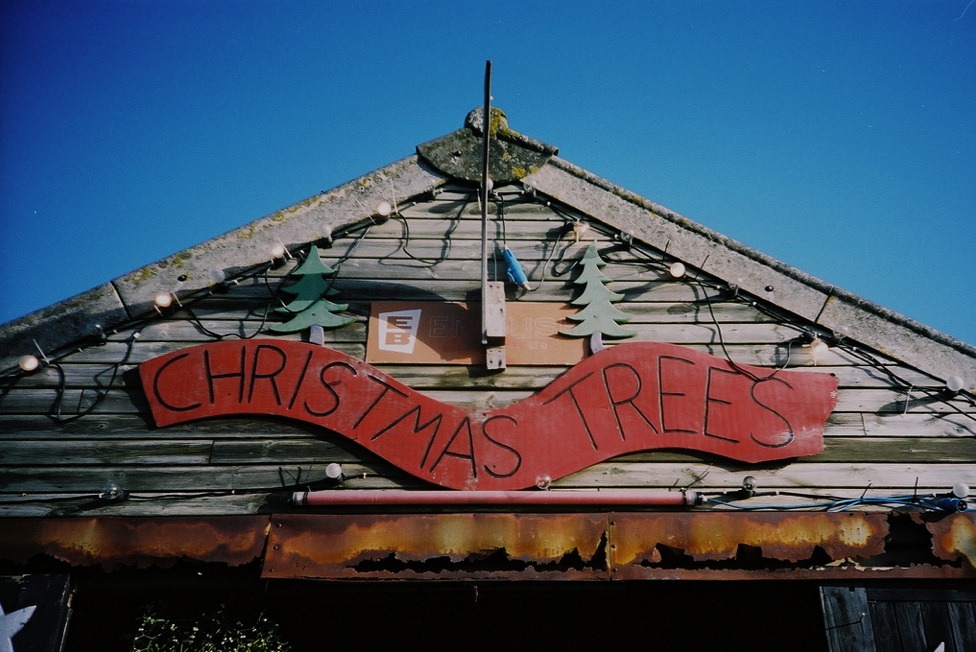 Untitled 3.jpg?ixlib=rails 2.1