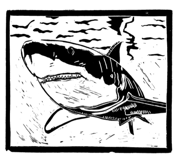 Greatwhite.jpg?ixlib=rails 2.1