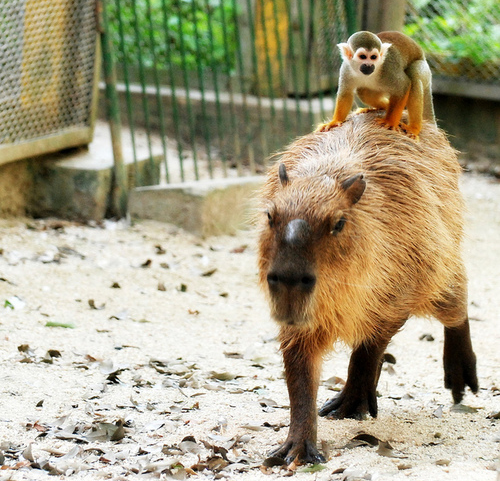 Screen shot 2014 01 27 at 9.59.29 am.png?ixlib=rails 2.1