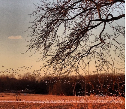 Rsz screen shot 2014 03 02 at 34138 pm.png?ixlib=rails 2.1