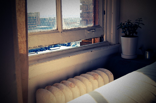 4516540160 f535513992 z.jpg?ixlib=rails 2.1