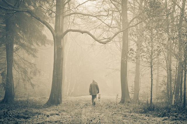 5306804849 0ffcc8e5f2 z.jpg?ixlib=rails 2.1