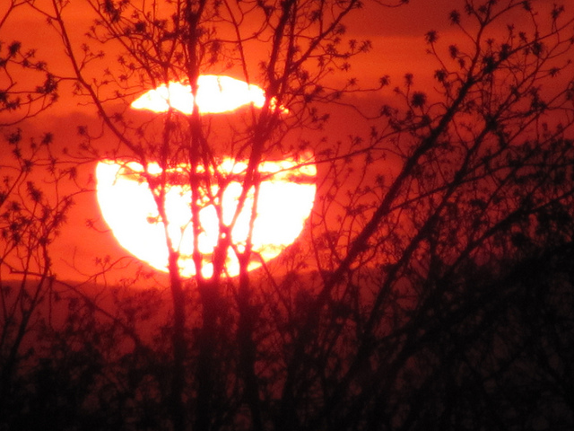 6949283974 0a4da1c19d z.jpg?ixlib=rails 2.1