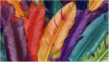 Rsz feathers.png?ixlib=rails 2.1