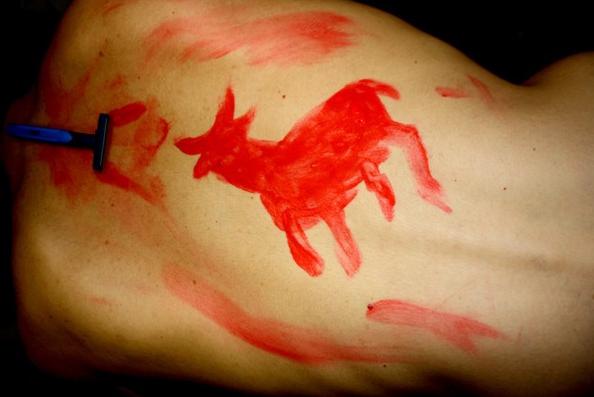 Bull.jpeg?ixlib=rails 2.1