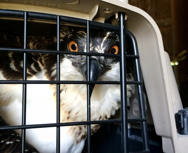 Screen shot 2014 08 21 at 10.19.39 am.png?ixlib=rails 2.1