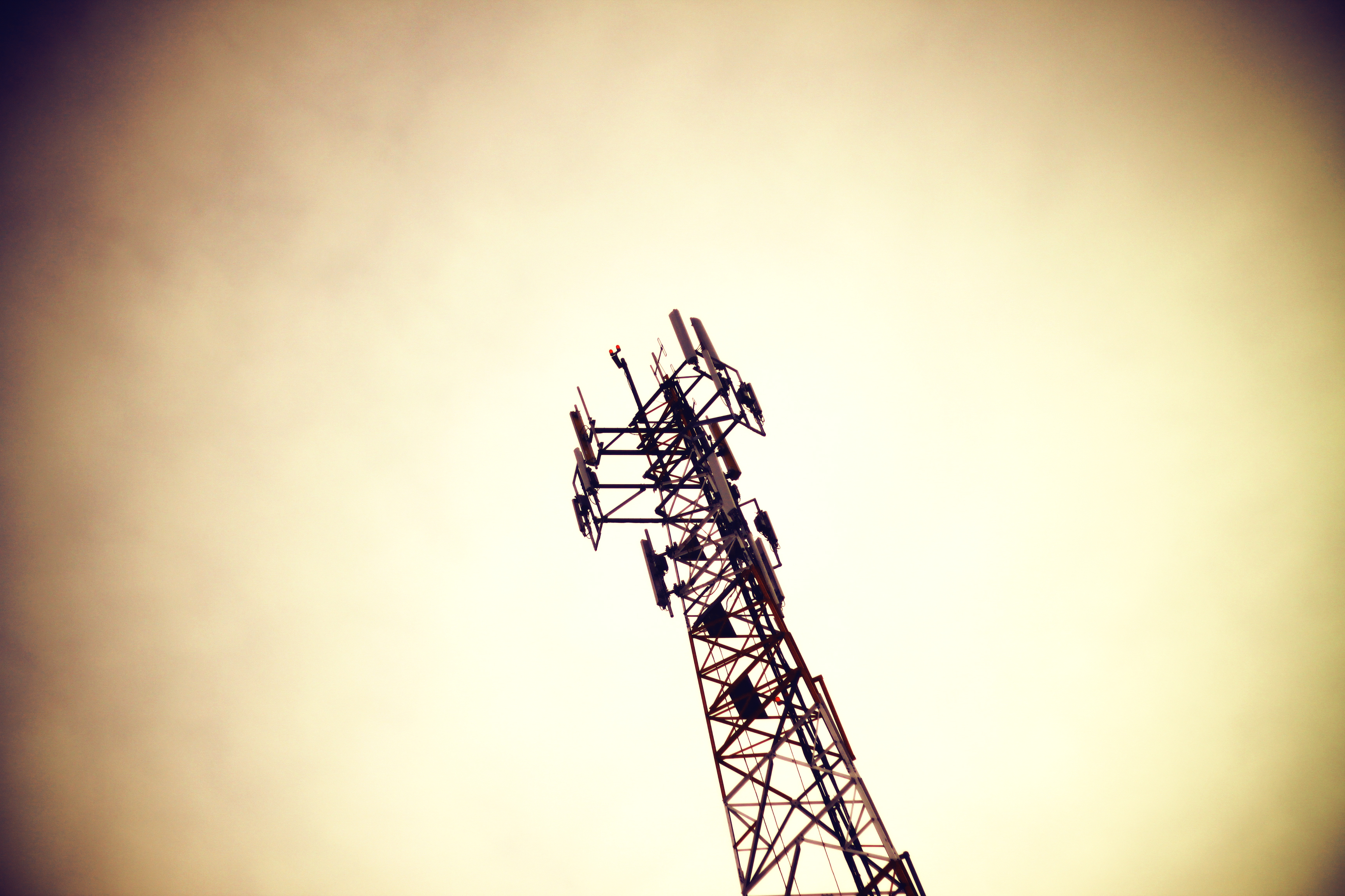 Tower.jpg?ixlib=rails 2.1