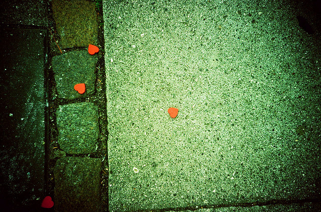 2639222622 26523cac8f z.jpg?ixlib=rails 2.1