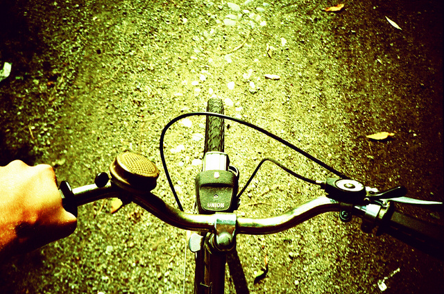 4860263113 dbd68436fb z.jpg?ixlib=rails 2.1