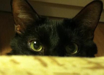 Rsz screen shot 2012 08 17 at 31550 pm.png?ixlib=rails 2.1