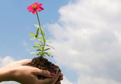 Rsz flower hands2  1 .jpg?ixlib=rails 2.1