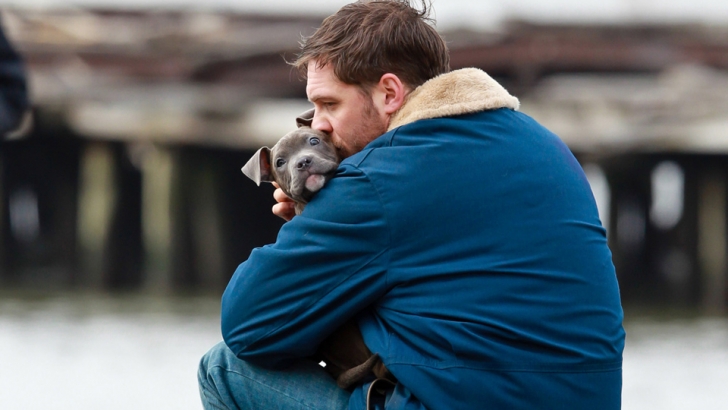 Tomhardy thedrop animalrescue.jpg?ixlib=rails 2.1