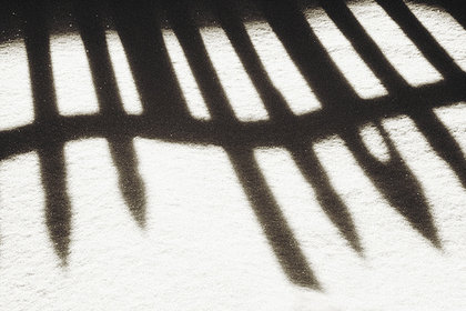 Rsz fence shadow.jpg?ixlib=rails 2.1