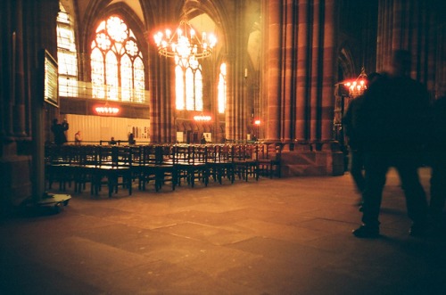 Tumblr mf8jv4ntly1r429qho1 500.jpg?ixlib=rails 2.1